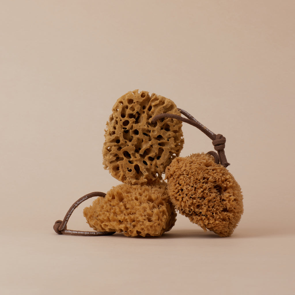 Heyiwell 1PC Large Natural Sea Sponges,Bath Sponges,Natural Sponge for Body  and Bath Shower 5~6 Inch