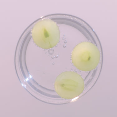 Grapes in a glass of water.